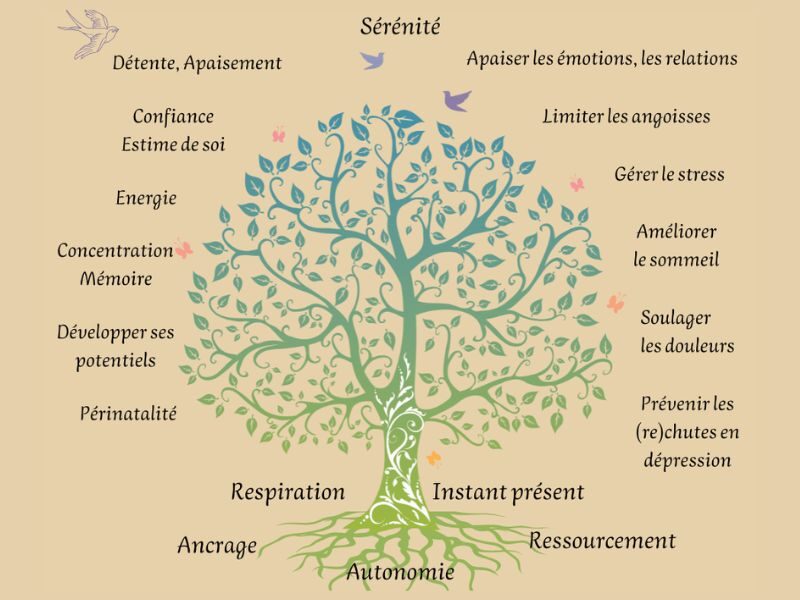 energies-isabelle-sophrologie-arbre-sophro